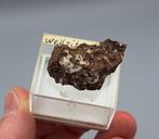 "Wellsiet" Monte Calarina, Verona, Italië, Ophalen of Verzenden, Mineraal