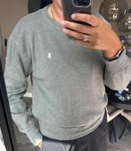 Polo Ralph Lauren trui grijs (M), Maat 48/50 (M), Ralph Lauren, Ophalen of Verzenden, Zo goed als nieuw