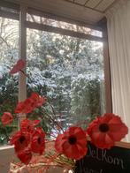 Goede schoonmaak gevraagd voor woning in Ommen, Schoonmaken