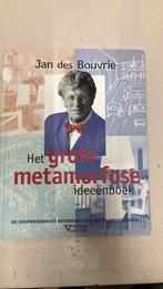 Jan des Bouvrie, Ophalen of Verzenden, Zo goed als nieuw, Print, Minder dan 50 cm