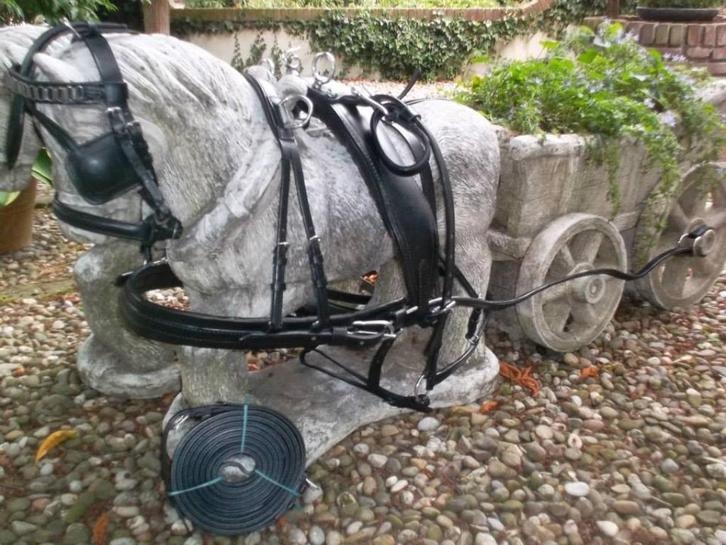 Tweespan paardentuig, Dieren en Toebehoren, Paarden en Pony's | Hoofdstellen en Tuigage, Nieuw, Recreatie, Ophalen of Verzenden