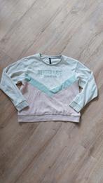 Trui maat M, Kleding | Dames, Truien en Vesten, Jean Pascale, Ophalen of Verzenden, Gedragen, Maat 38/40 (M)