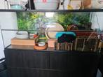 Kooi voor kleine knaagdier (terrarium/gerbiltatium), Dieren en Toebehoren, Kooi, Minder dan 60 cm, 110 cm of meer, Hamster