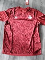 Psv trainingsshirt, Maat XL, Ophalen of Verzenden, Zo goed als nieuw, Shirt