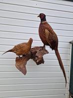 Koppel Fazanten op natuur hout in perfecte staat (meer vogel, Ophalen of Verzenden, Zo goed als nieuw, Vogel, Beeldje of Figuurtje