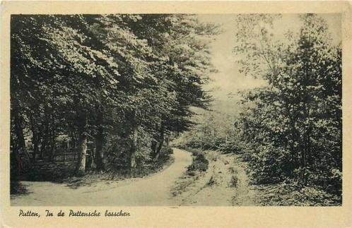 (300-283-051) Putten In de Puttensche bosschen, Verzamelen, Ansichtkaarten | Nederland, Gelderland, Verzenden