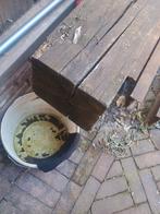 eiken balk 15*20 cm, Doe-het-zelf en Verbouw, Hout en Planken, Ophalen, Gebruikt, Eiken, 50 mm of meer