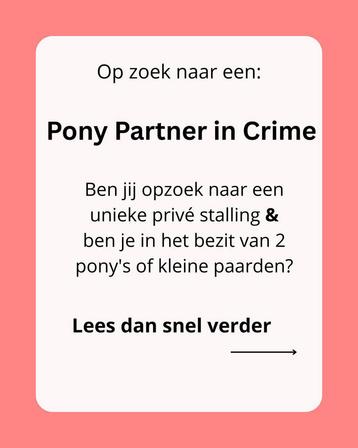Plek op privé stalling voor 2 paarden of ponys beschikbaar voor biedingen