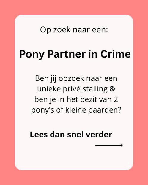 Plek op privé stalling voor 2 paarden of ponys, Dieren en Toebehoren, Stalling en Weidegang, Stalling