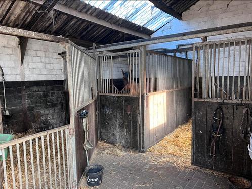 Paarden pensioen en pensionstaling, Dieren en Toebehoren, Stalling en Weidegang, Stalling, 1 paard of pony