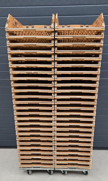 50 stuks broodkratten/Brobankratten beschikbaar voor biedingen