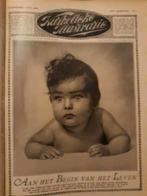 Katholieke illustratie, Boeken, Tijdschriften en Kranten, Ophalen of Verzenden, Zo goed als nieuw, Overige typen