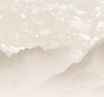 Poespas behang - Desert Animals - Nieuw!, Ophalen of Verzenden, Minder dan 10 m², Beige