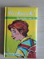 De meiden van 2c - Werkweek, Ophalen of Verzenden, Zo goed als nieuw, Rosie Rushton