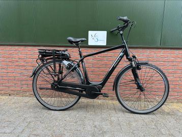 Pegasus Siena E8F 55cm met Bosch Active Line Plus & 400WH beschikbaar voor biedingen