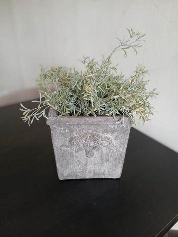 Bloempot met takken beschikbaar voor biedingen