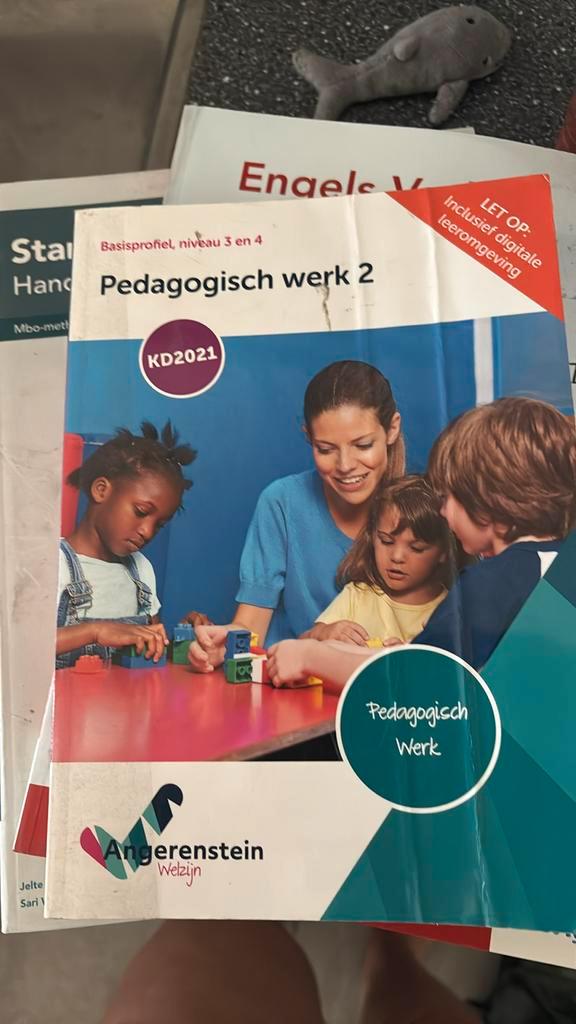 Pedagogisch werk 2 Niveau 3 en 4, Boeken, Schoolboeken, Zo goed als nieuw, Nederlands, Overige niveaus, Ophalen of Verzenden