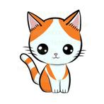 Katten Oppas AANGEBODEN Privé, Ophalen of Verzenden, Zo goed als nieuw