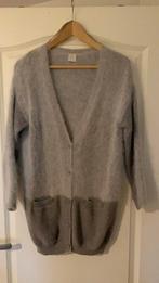 Pinko wollen vest - Maat M, Ophalen of Verzenden, Zo goed als nieuw, Maat 38/40 (M), Grijs