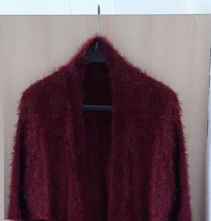 LANG VEST L XL 46 48 DONKERROOD BORDEAUXROOD Merk RAINBOW, Kleding | Dames, Grote Maten, Zo goed als nieuw, Trui of Vest, Rood