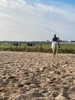 Plek voor pony’s, Januari, Meerdere dieren