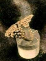 13156-9 Zilveren ring met blad motief, Ophalen of Verzenden, Zo goed als nieuw, 17 tot 18, Dame
