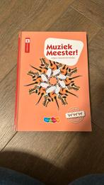 Muziek meester!, Boeken, Schoolboeken, Nieuw, Rinze van der Lei; Lieuwe Noordam; Frans Haverkort, Overige niveaus, Ophalen of Verzenden
