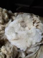 Schapen wol van bleu du maine schapen., Ophalen of Verzenden, Nieuw, Spinwol