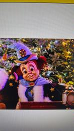 4 x ticket efteling, Tickets en Kaartjes, Drie personen of meer, Ticket of Toegangskaart