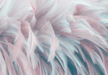 Veren fotobehang Roze Wit, vintage behang, Fotobehang4you beschikbaar voor biedingen