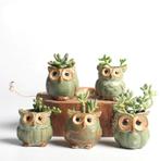 5 Keramische Uilen Bloempotten / Bloempot Bloem Pot Bak Uil, Verzenden, Rond, Nieuw, Minder dan 40 cm