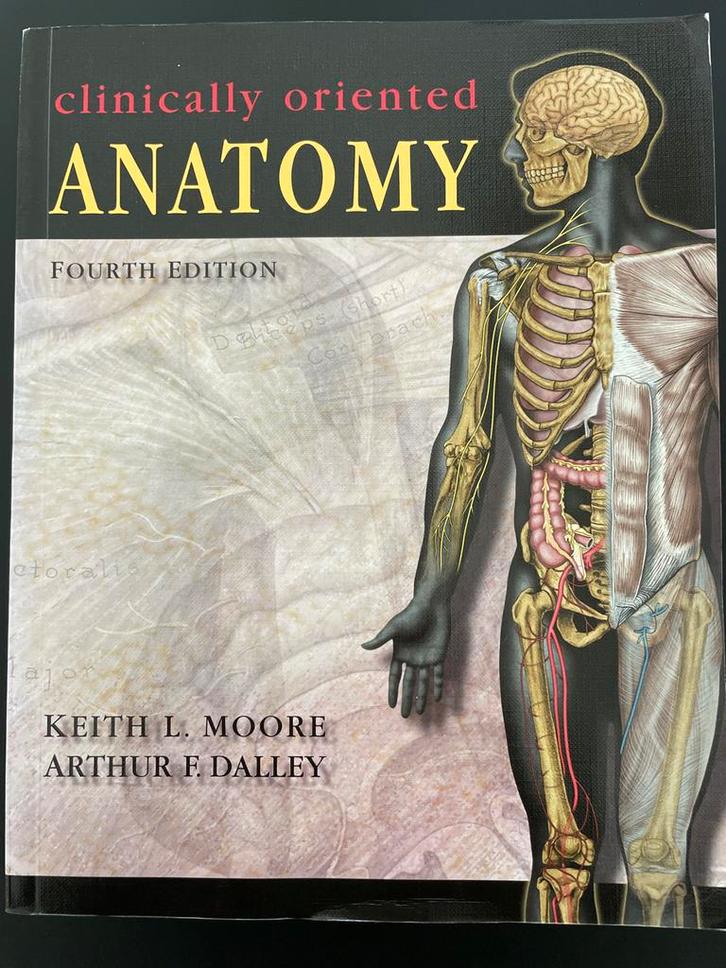 Clinically Oriented Anatomy - 4e Editie, Boeken, Studieboeken en Cursussen, Gelezen, WO, Beta, Ophalen of Verzenden
