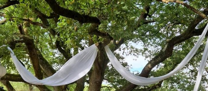 Bruiloft decoratie diverse artikelen, Hobby en Vrije tijd, Feestartikelen, Zo goed als nieuw, Versiering, Geboorte of Huwelijk