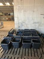Grote weide drinkbakken 8 stuks, Oktober, Meerdere dieren