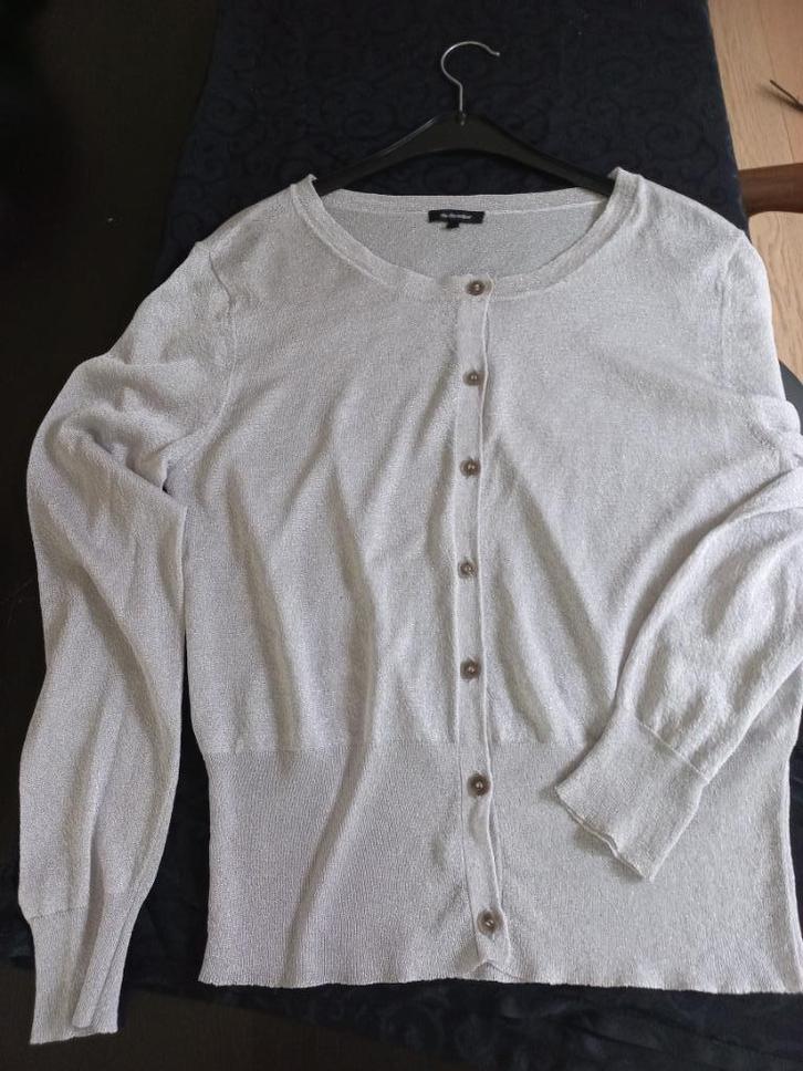 dun soepel, zilveren vestje van Claudia Sträter, Kleding | Dames, Truien en Vesten, Zo goed als nieuw, Maat 42/44 (L), Overige kleuren