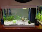 HS Aqua aquarium, Dieren en Toebehoren, Ophalen, Zo goed als nieuw, Leeg aquarium