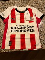 Psv shirtje kind, Maat XS of kleiner, Ophalen, Nieuw, Shirt