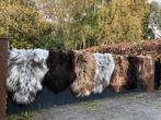 Das Mooi Schapenvachten  🐑 ❤️ De Keuze is Reuze, Ophalen of Verzenden