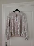 Glitter jasje zilver ZARA, Kleding | Dames, Maat 38/40 (M), Overige kleuren, Zara, Ophalen of Verzenden