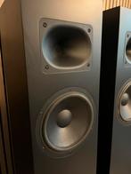 Blumenhofer Tempesta 20, Audio, Tv en Foto, Luidsprekers, Info, Front, Rear of Stereo speakers, Blumenhofer, Ophalen
