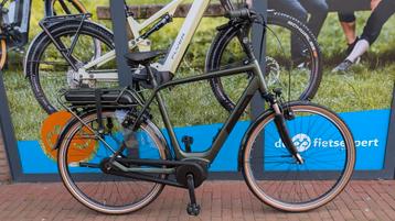Pegasus Siena heren 65 60 en 55cm van 3099 naar beschikbaar voor biedingen
