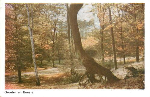 (387-219-035) Ermelo Groeten uit, Verzamelen, Ansichtkaarten | Nederland, Gelderland, Verzenden