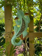 Nieuw houten gekko/salamander mintgroen, Ophalen of Verzenden, Nieuw