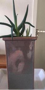 vintage unieke jaren ‘50 bloempot vaas bio kamerplanten, Binnen, Ophalen of Verzenden, Zo goed als nieuw, Terracotta