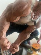 Logan Sideshow Marvel, Verzamelen, Ophalen of Verzenden, Zo goed als nieuw, Fantasy