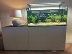 Aquarium Red Sea Reefer XL 425 incl vele extra’s, Dieren en Toebehoren, Vissen | Aquaria en Toebehoren, Ophalen, Gebruikt, Gevuld zoetwateraquarium