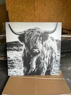 Schotse hooglander schilderij, Ophalen of Verzenden, 75 cm of meer