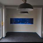 (Zee)aquarium groot 250x70x70 compleet, Dieren en Toebehoren, Ophalen, Gebruikt, Gevuld zeewateraquarium