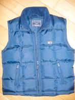FALINO bodywarmer blauw maat M - nieuw -, Kleding | Dames, Maat 38/40 (M), Blauw, Nieuw, Ophalen of Verzenden