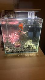 Superfish Qubiq 30 Pro aquarium, Dieren en Toebehoren, Vissen | Aquaria en Toebehoren, Ophalen, Gebruikt, Leeg aquarium
